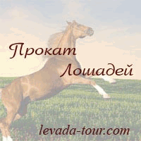 Проакат лошадей. Зеленый туризм
